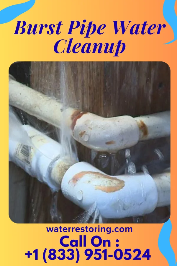 Burst Pipe Water Cleanup in Stone Creek, OH