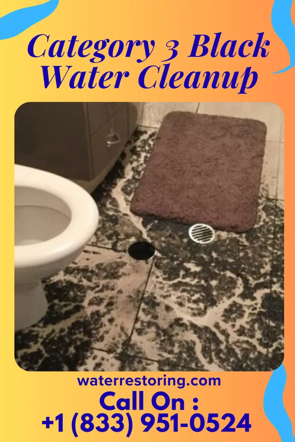 Category 3 Black Water Cleanup in Stone Creek, OH