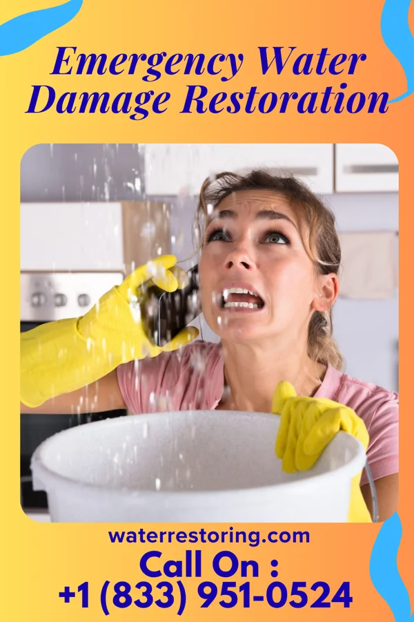 Emergency Water Damage Restoration in Stone Creek, OH