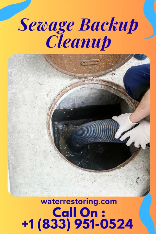 Sewage Backup Cleanup in Stone Creek, OH