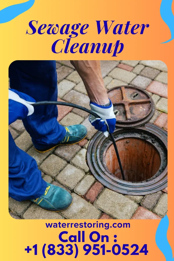 Sewage Water Cleanup in Stone Creek, OH