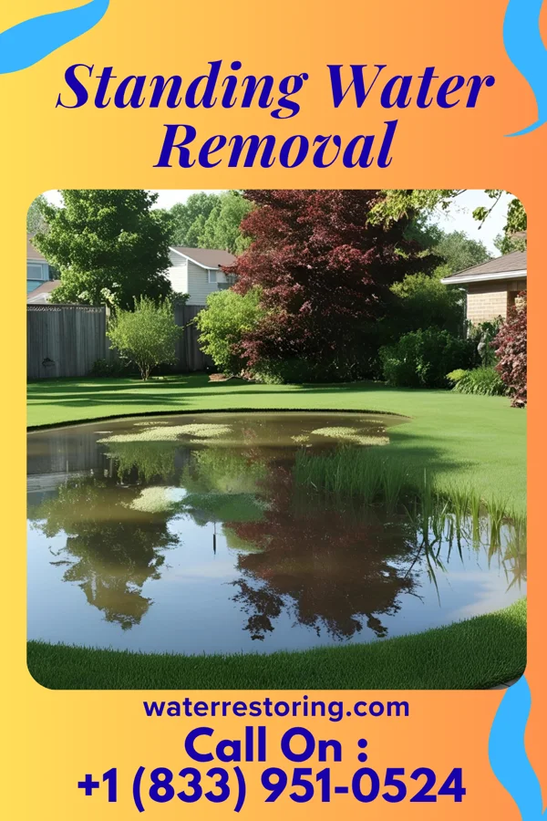 Standing Water Removal in Stone Creek, OH